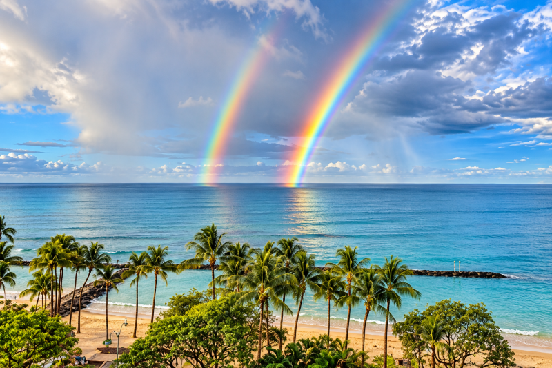 The Beach @ Waikiki